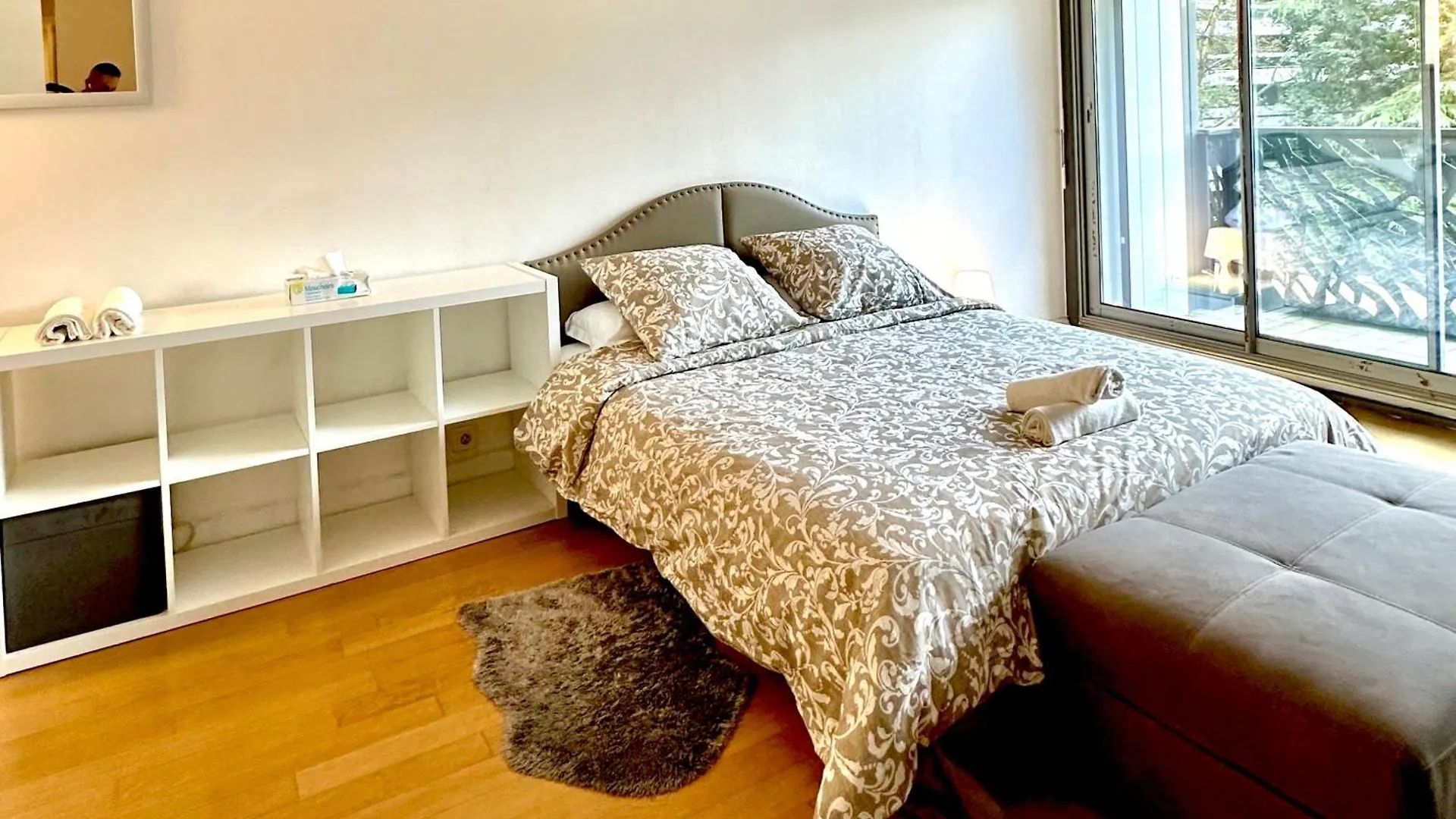 Champs Elysees Apartment Paris